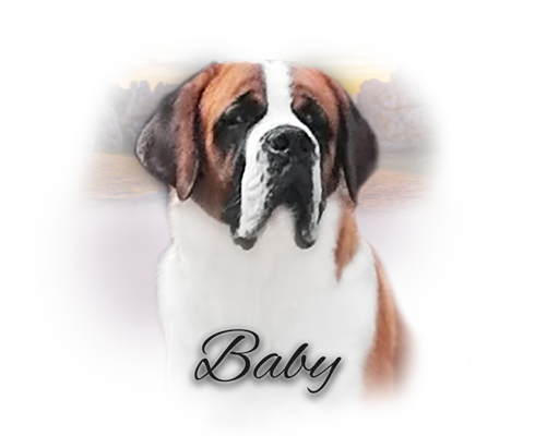 baby2