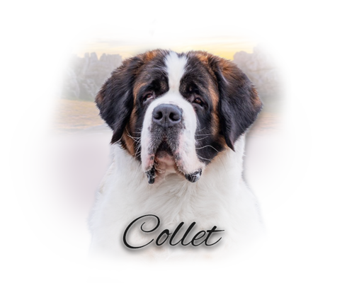 collet