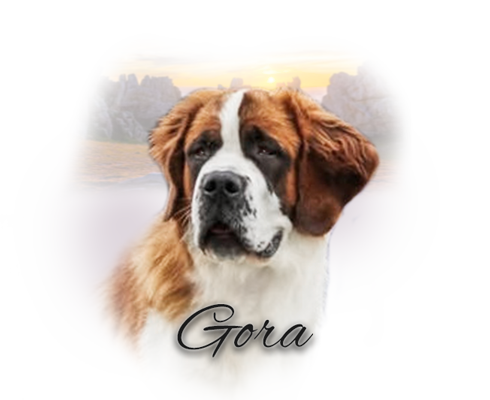 gora2_